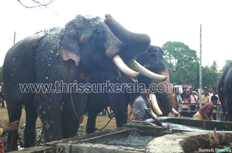 thrissur-pooram-2011- (21)